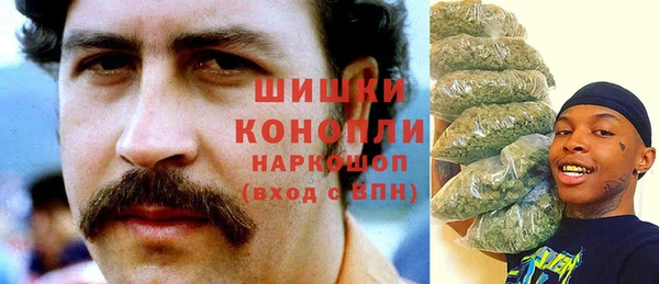 экстази Ельня