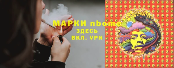 винт Дмитриев