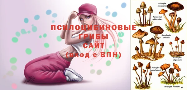 винт Дмитриев