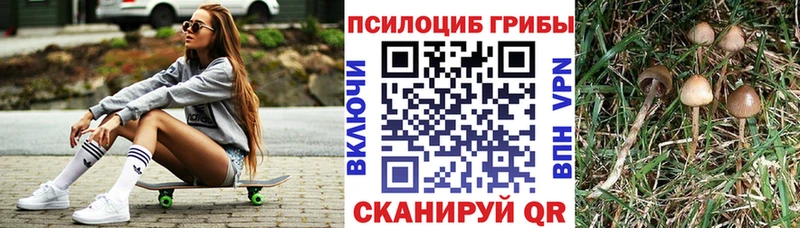 Купить  Фокино  Галлюциногенные грибы MAGIC MUSHROOMS 